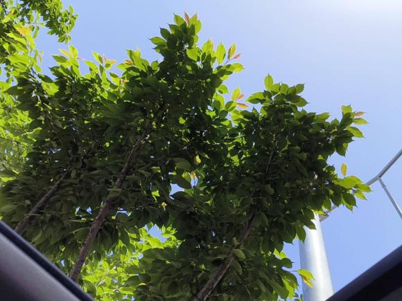 [西安·陕A] 二手奥迪奥迪Q32012款 35 TFSI quattro 舒适型