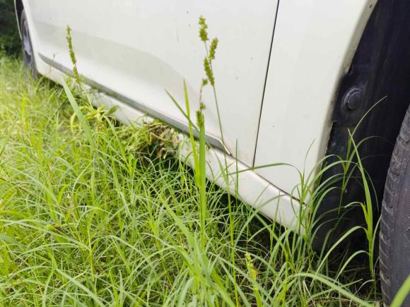 [苏州·苏E] 二手名爵名爵6新能源2018款 45T E-DRIVE智驱混动尊享互联网版