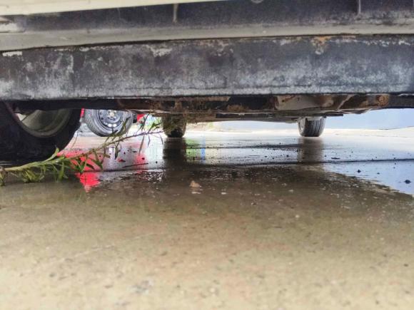 [合肥·皖A] 二手福特嘉年华2013款 两厢 1.5L 自动品尚型