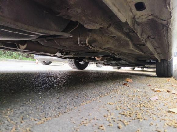 [苏州·苏E] 二手大众朗逸2015款 1.6L 手动风尚版