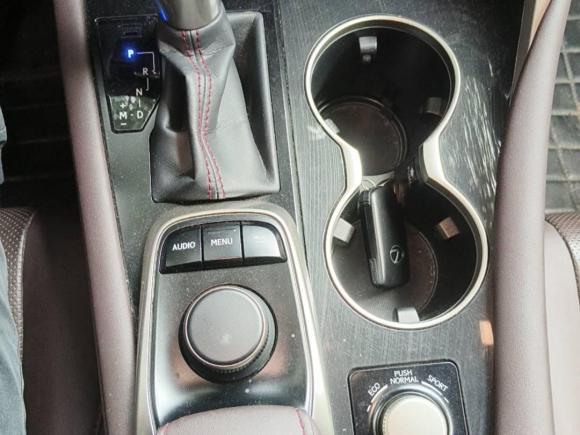 [广州·粤A] 二手雷克萨斯雷克萨斯RX2016款 300 两驱舒适版 国V