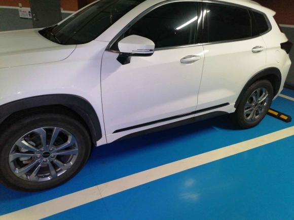 [上海·苏U] 二手星途星途追风2020款 乘风破浪版 1.5T CVT星耀版