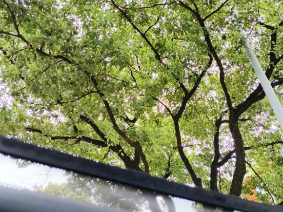 [杭州·浙A] 二手福特锐界2018款 EcoBoost 245 两驱豪锐型 7座 国VI