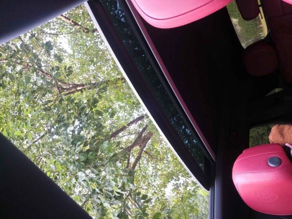 [上海·沪D] 二手保时捷Cayenne2019款 Cayenne 3.0T