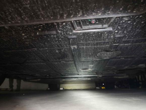 [成都·川A] 二手欧拉欧拉好猫2023款 401km标准续航 尊贵型 三元锂