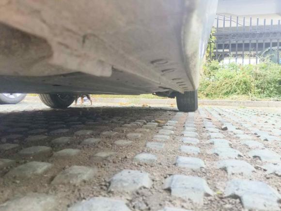 [青岛·鲁B] 二手本田哥瑞2016款 1.5L CVT经典版