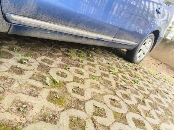 [南京·苏A] 二手日产骊威2010款 劲逸版 1.8L 手动标准型