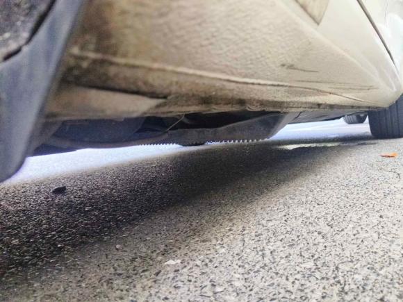 [上海·鲁N] 二手斯柯达明锐2013款 1.6L 自动逸俊版