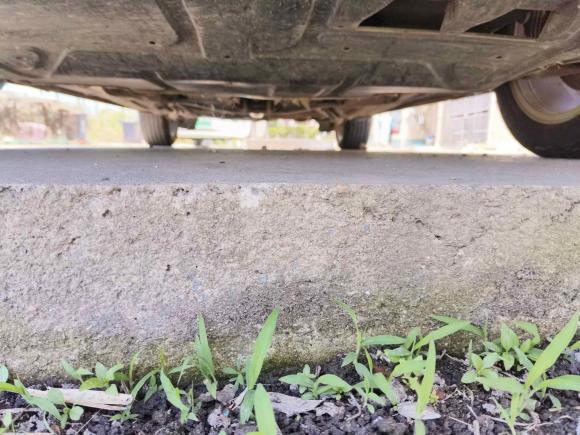 [上海·苏F] 二手大众朗逸2011款 1.6L 自动品雅版