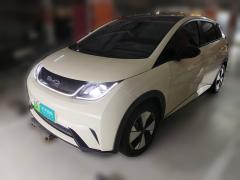 [合肥·皖A]比亚迪&nbsp;&nbsp;海豚&nbsp;&nbsp;2023款 420km 时尚版