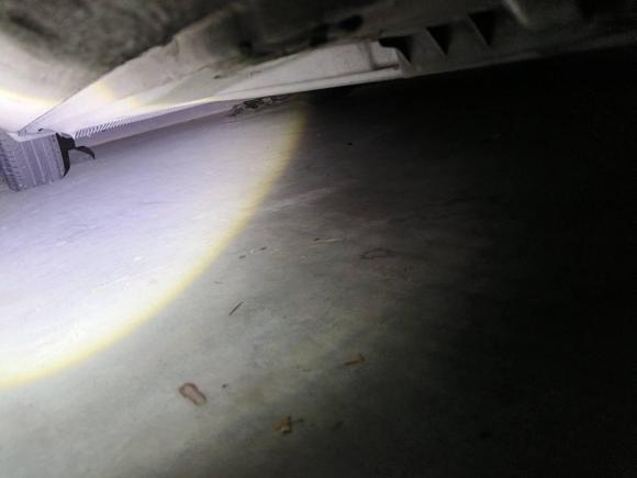 [苏州·苏E] 二手斯柯达明锐2015款 1.6L 自动逸俊版