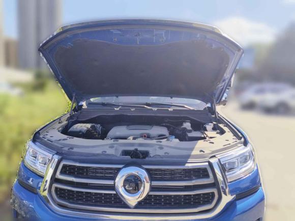 [济南·鲁A] 二手长城炮2023款 2.0T乘用版自动汽油四驱运动型GW4C20B