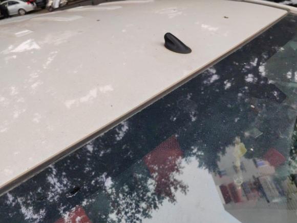 [温州·浙C] 二手福特翼搏2013款 1.5L 自动风尚型