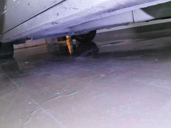 [杭州·浙A] 二手菲亚特致悦2014款 1.4T 自动舒适版