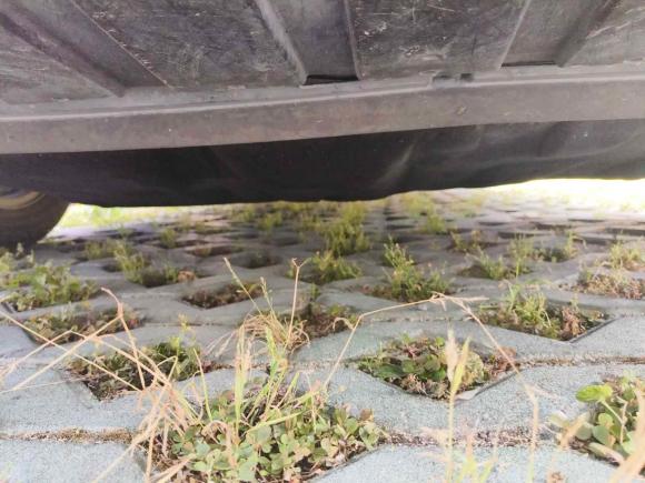 [上海·皖L] 二手福特福克斯2017款 三厢 1.6L 自动风尚型智行版