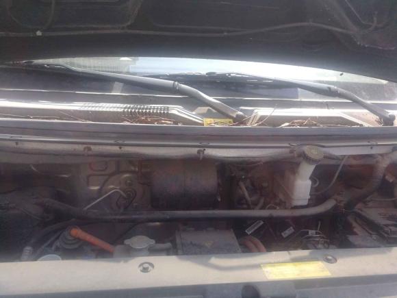 [南京·苏A] 二手开瑞海豚EV2019款 智享版