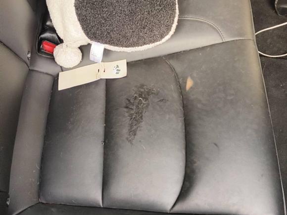 [北京·京A] 二手特斯拉Model 32020款 改款 标准续航后驱升级版