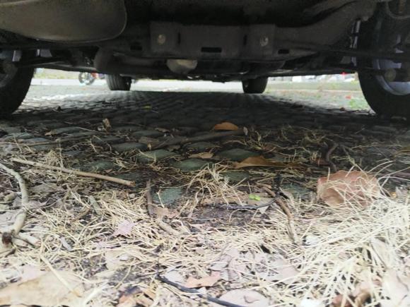 [上海·沪C] 二手别克阅朗2019款 18T 自动互联精英型 国VI