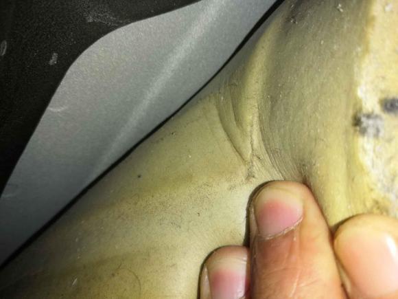 [合肥·皖A] 二手宝马宝马3系2015款 320i 超悦版时尚型