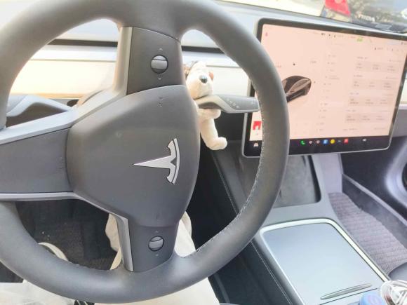 [南昌·赣A] 二手特斯拉Model 32022款 后轮驱动版
