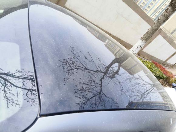 [青岛·鲁B] 二手smartsmart fortwo2018款 1.0L 52千瓦硬顶激情版 国V