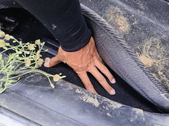 [苏州·苏E] 二手名爵名爵6新能源2018款 45T E-DRIVE智驱混动尊享互联网版