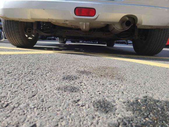 [青岛·鲁B] 二手铃木雨燕2009款 1.3L 自动超值版