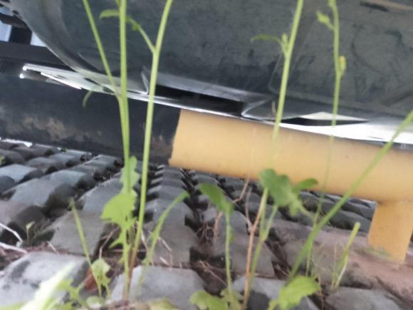 [嘉兴·浙F] 二手大众途昂2017款 380TSI 四驱豪华版