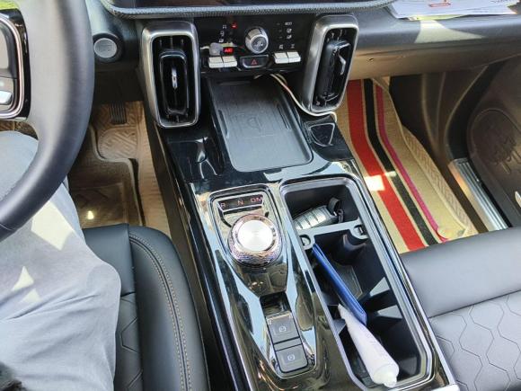 [合肥·皖A] 二手哈弗哈弗大狗2021款 2.0T DCT四驱中华田园犬版