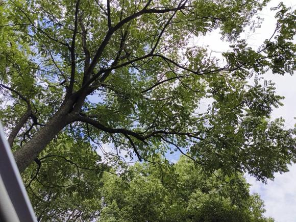 [杭州·浙A] 二手马自达睿翼2011款 2.0L 自动精英版