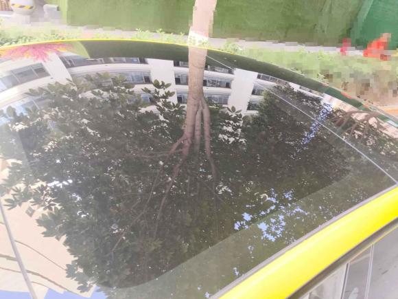 [西安·陕A] 二手特斯拉Model 32021款 标准续航后驱升级版