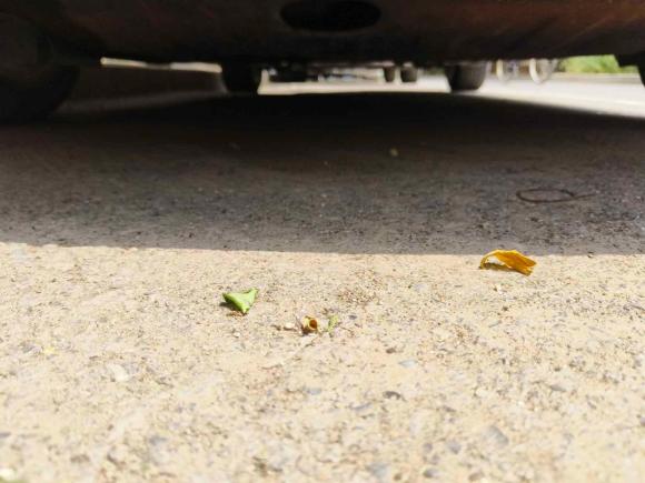 [北京·京Q] 二手福特福克斯2015款 两厢 1.6L 自动舒适型