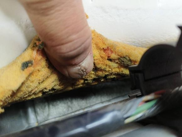 [武汉·鄂A] 二手日产逍客2010款 20X雷 CVT 2WD