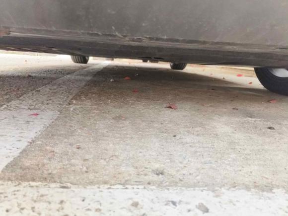 [合肥·皖A] 二手领克领克032022款 1.5TD DCT劲Pro