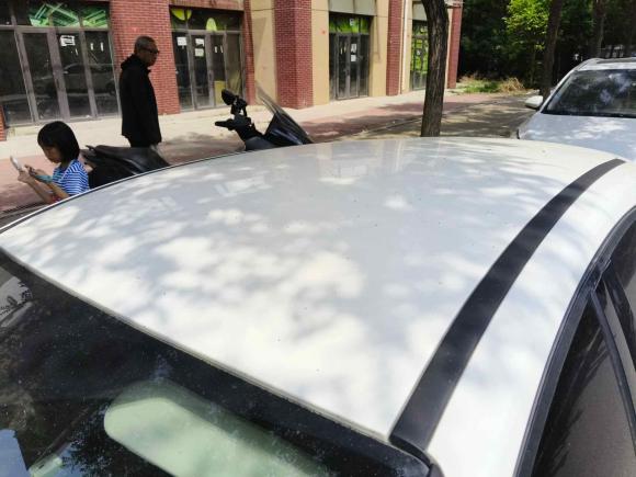 [北京·京Q] 二手福特福克斯2015款 两厢 1.6L 自动舒适型