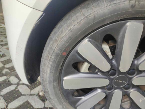 [上海·沪A] 二手欧拉欧拉黑猫2019款 351km 亲子版