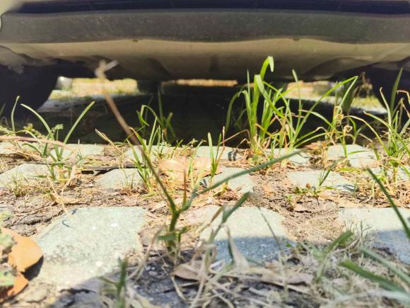 [嘉兴·浙H] 二手宝马宝马3系2013款 320Li 时尚型