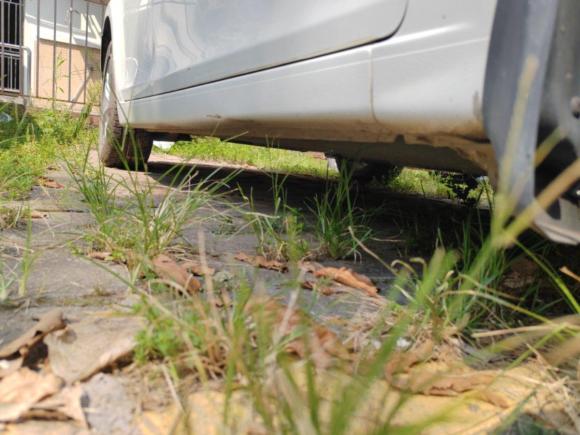 [广州·湘J] 二手雪佛兰科鲁兹2015款 1.5L 经典 SE AT