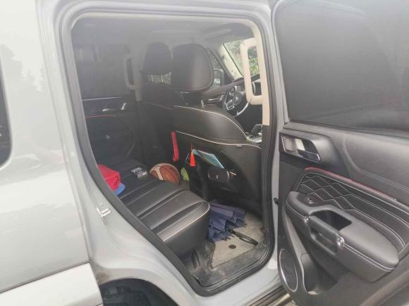 [湖州·浙E] 二手坦克坦克3002021款 城市版 2.0T 很有型