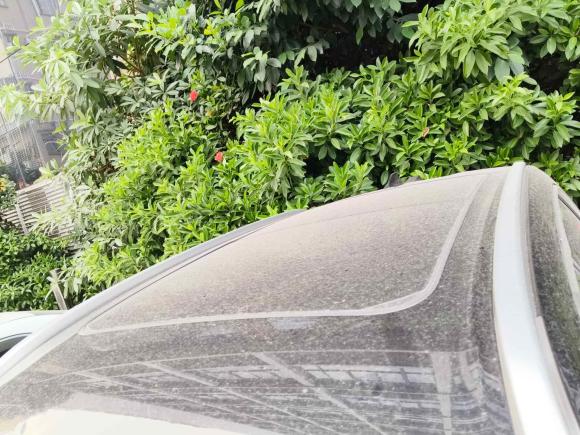 [深圳·粤S] 二手魏牌玛奇朵DHT2021款 1.5L DHT特调版