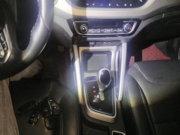 [苏州·苏E] 二手睿蓝汽车枫叶30X2020款 风尚版