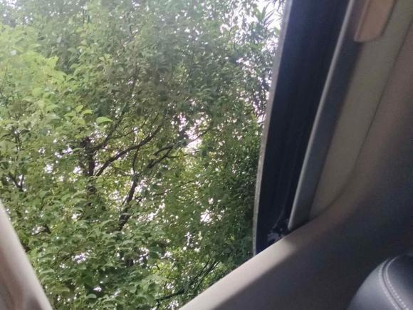 [杭州·浙A] 二手斯柯达速派2016款 TSI280 DSG创行版