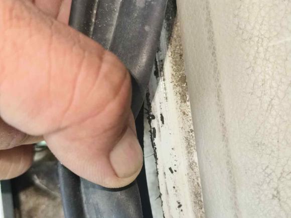 [南京·苏A] 二手东风风行菱智2018款 M5L 1.6L 7座豪华型