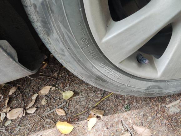 [上海·苏M] 二手日产骐达TIIDA2011款 1.6L CVT舒适型