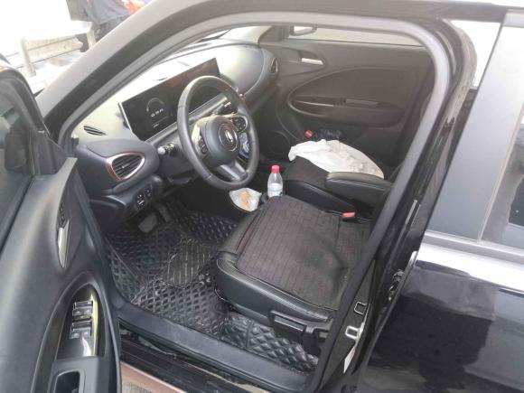 [温州·浙C] 二手欧拉欧拉白猫2022款 小野猫版 360km 尊享型 三元锂