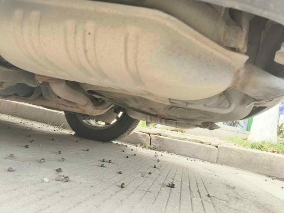 [温州·浙C] 二手马自达马自达62011款 2.0L 自动时尚型