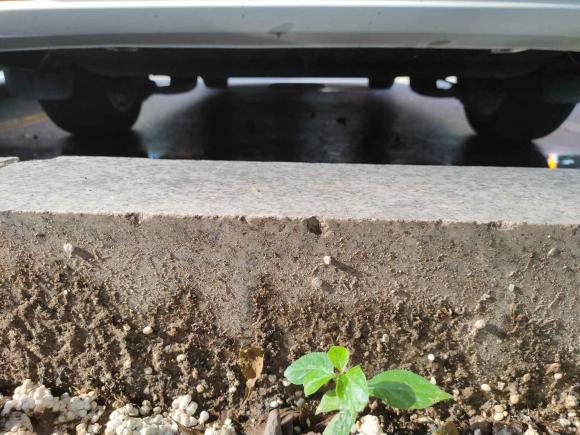 [佛山·粤K] 二手广汽传祺传祺M62019款 270T DCT尊享版（七座）国VI