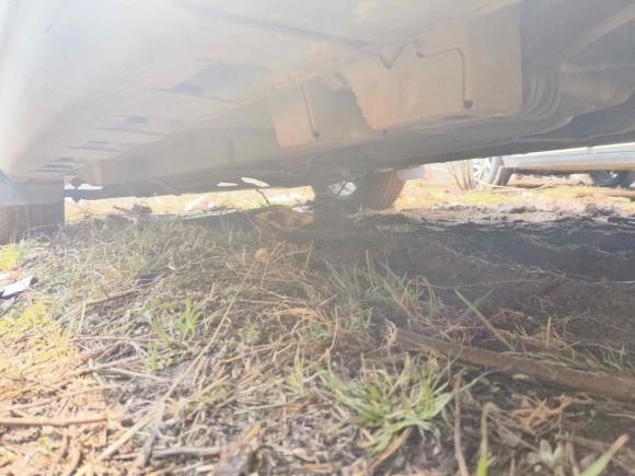 [武汉·鄂A] 二手哈弗哈弗H12016款 红标 1.5L 手动舒适型