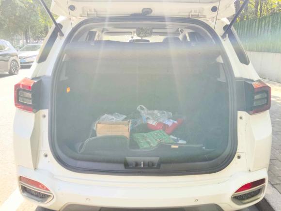 [苏州·苏U] 二手奇瑞瑞虎5x2017款 1.5T DCT精英型