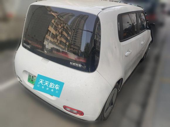 [西安·陕A] 二手欧拉欧拉白猫2020款 401km 长续航型